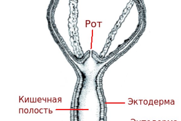 Как купить через кракен